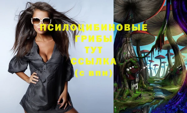 мяу мяу мука Абинск