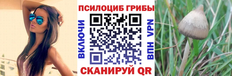 Псилоцибиновые грибы ЛСД Ивантеевка